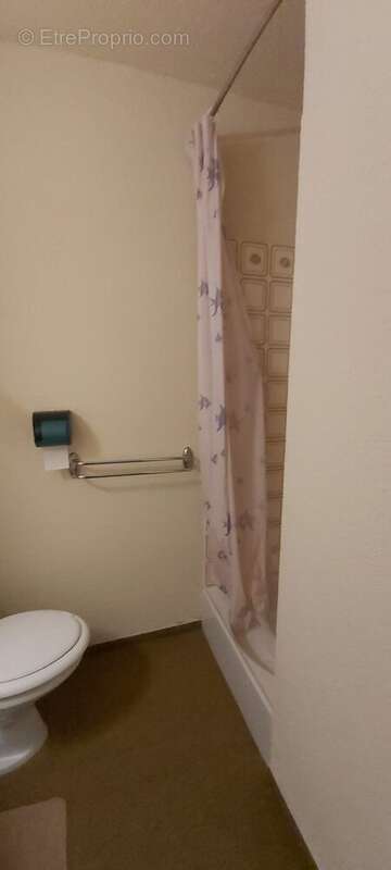 Salle d'eau et wc - Appartement à SELONNET