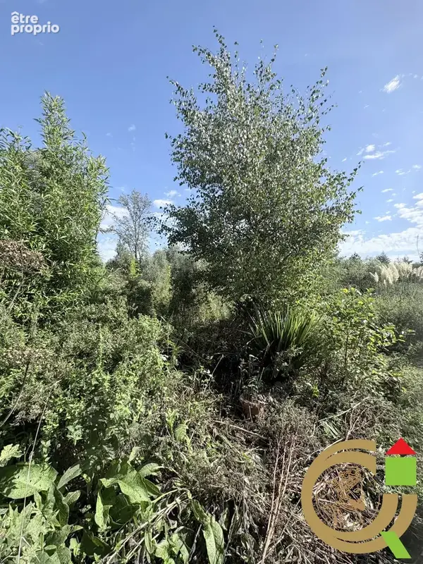 Terrain 12 930 m² à vendre à Recques-Sur-Course (62170) - photo 4