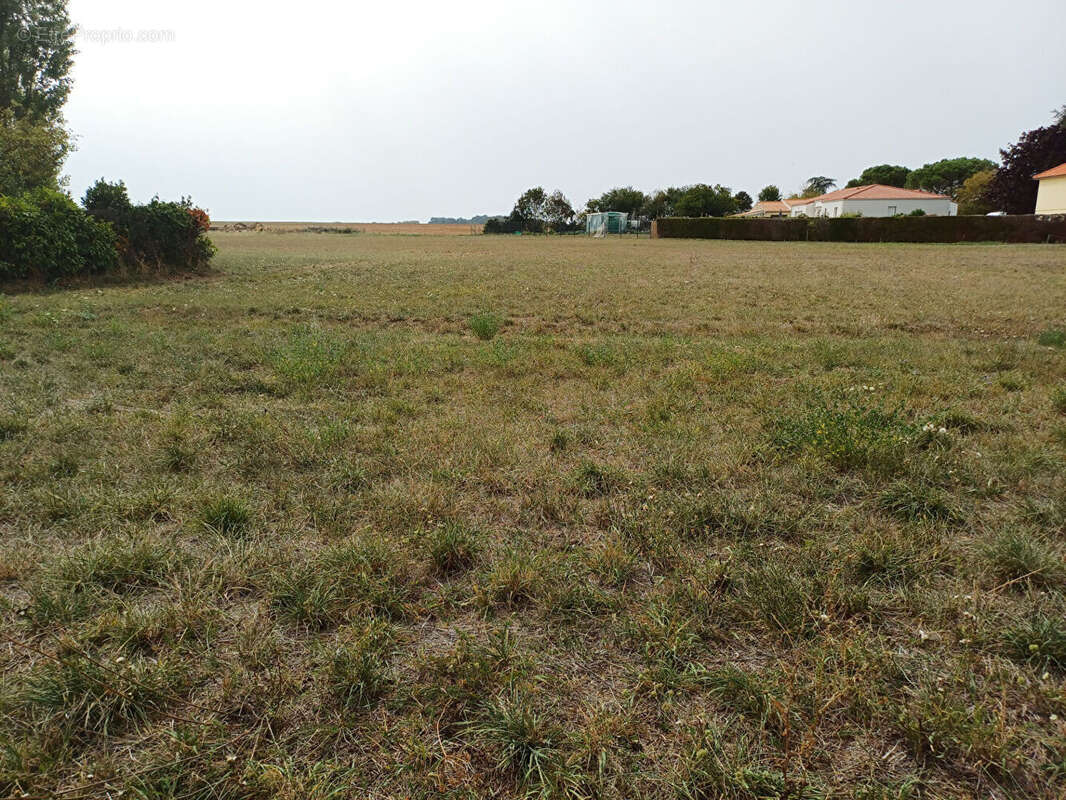 Photo 2 - Terrain à FONTAINES