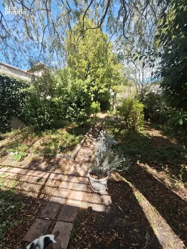 Charme du village, confort du moderne : La perle rare à 15 min de Castelnaudary - photo 3