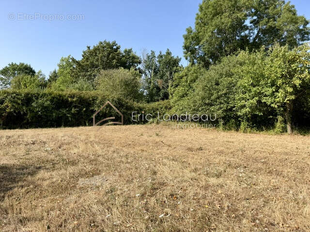 Maison 7 pièces - Terrain de 4186 m2 - photo 16