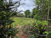 Terrain à OCTEVILLE-SUR-MER