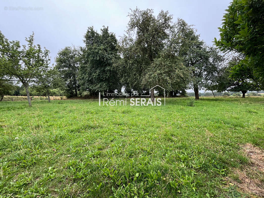 Passais Village : Ancien corps de ferme sans voisinage, dépendances et mare - photo 14
