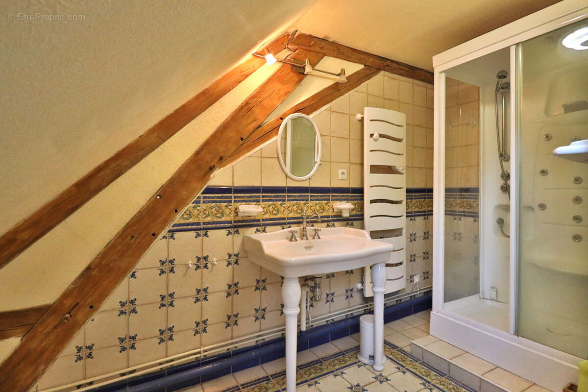 Chaource - belle maison avec terrain, piscine, dependances - photo 13