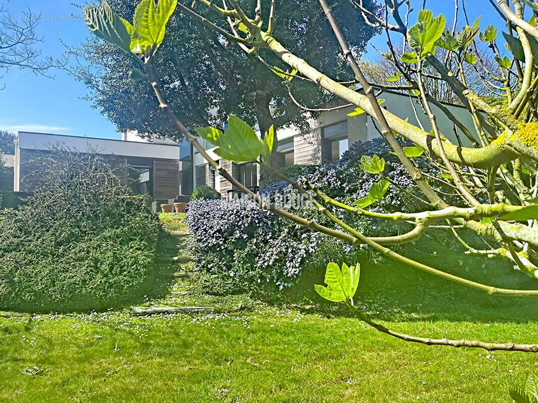 Belle maison contemporaine à SAINT-ALBAN - photo 19