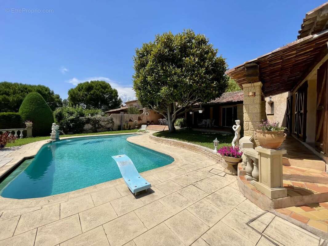BIOT - Villa Provençale - Piscine - Calme absolu - photo 3
