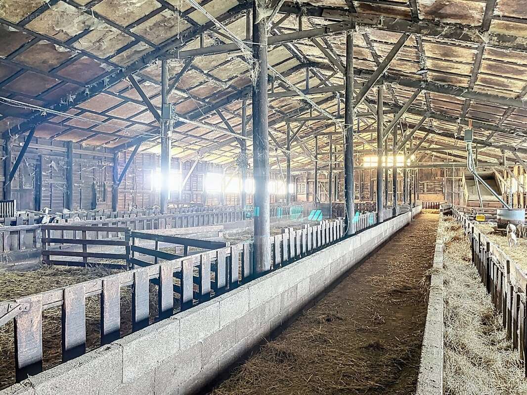 Tarn : Exploitation en ovin lait sur 52 ha SAU - photo 8
