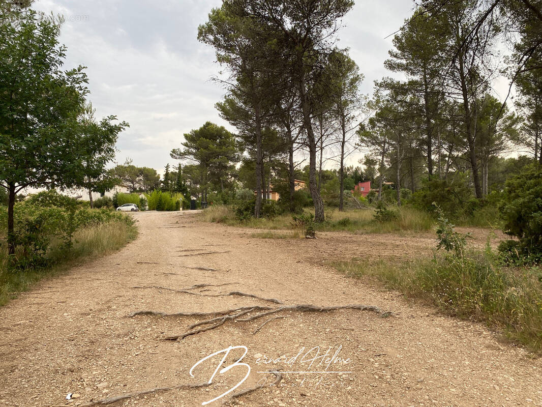 Terrain à BELCODENE