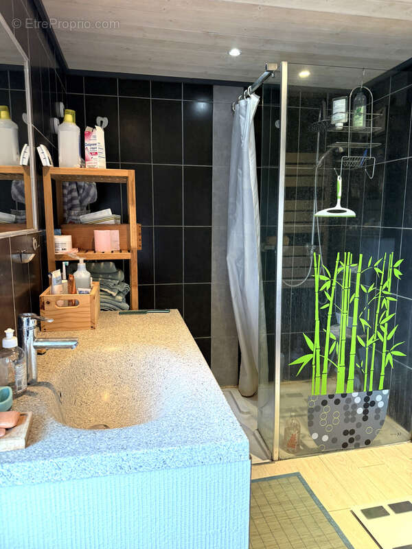 Maison à SAINT-MAURICE-LA-CLOUERE