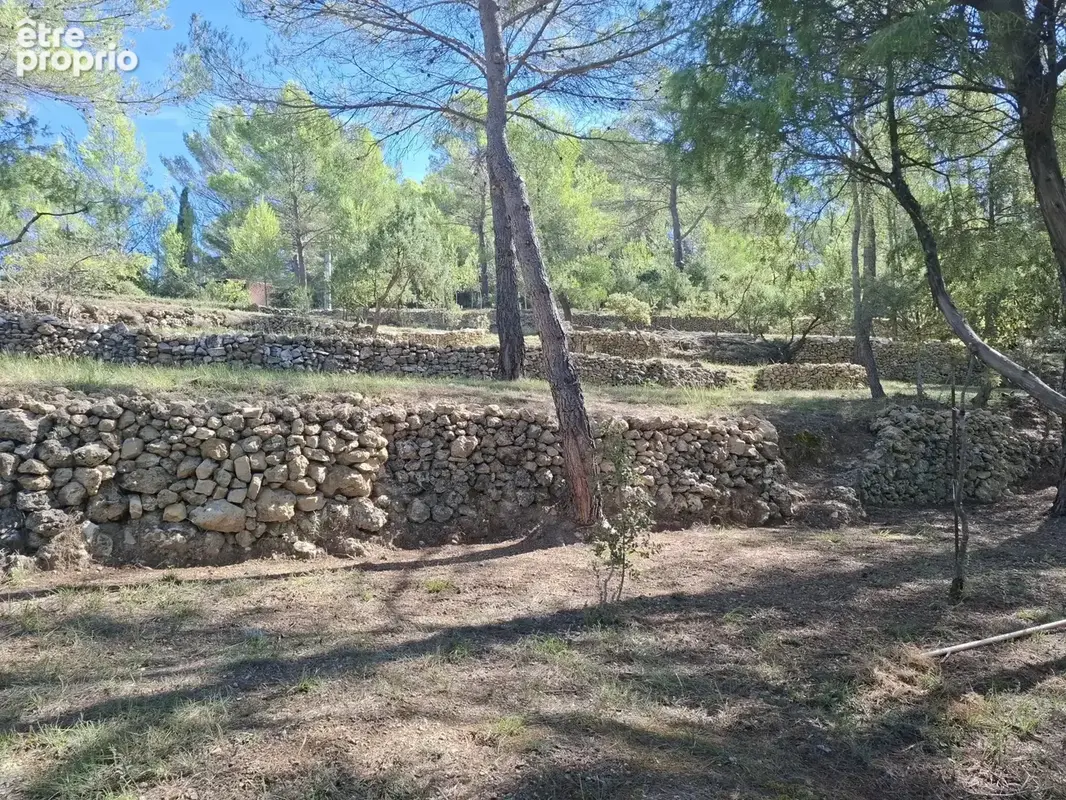 Propriété de charme avec piscine et près de 2 hectares - La Verdière - photo 5