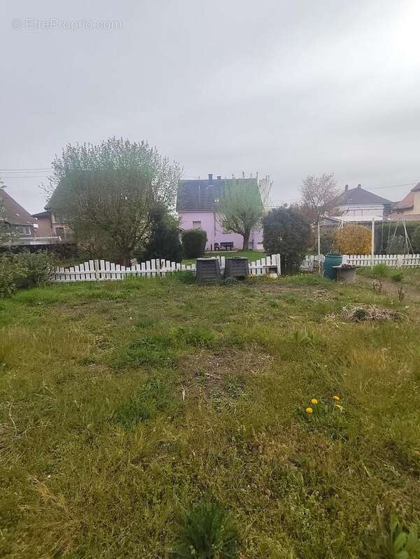 Photo 2 - Maison à HAGUENAU