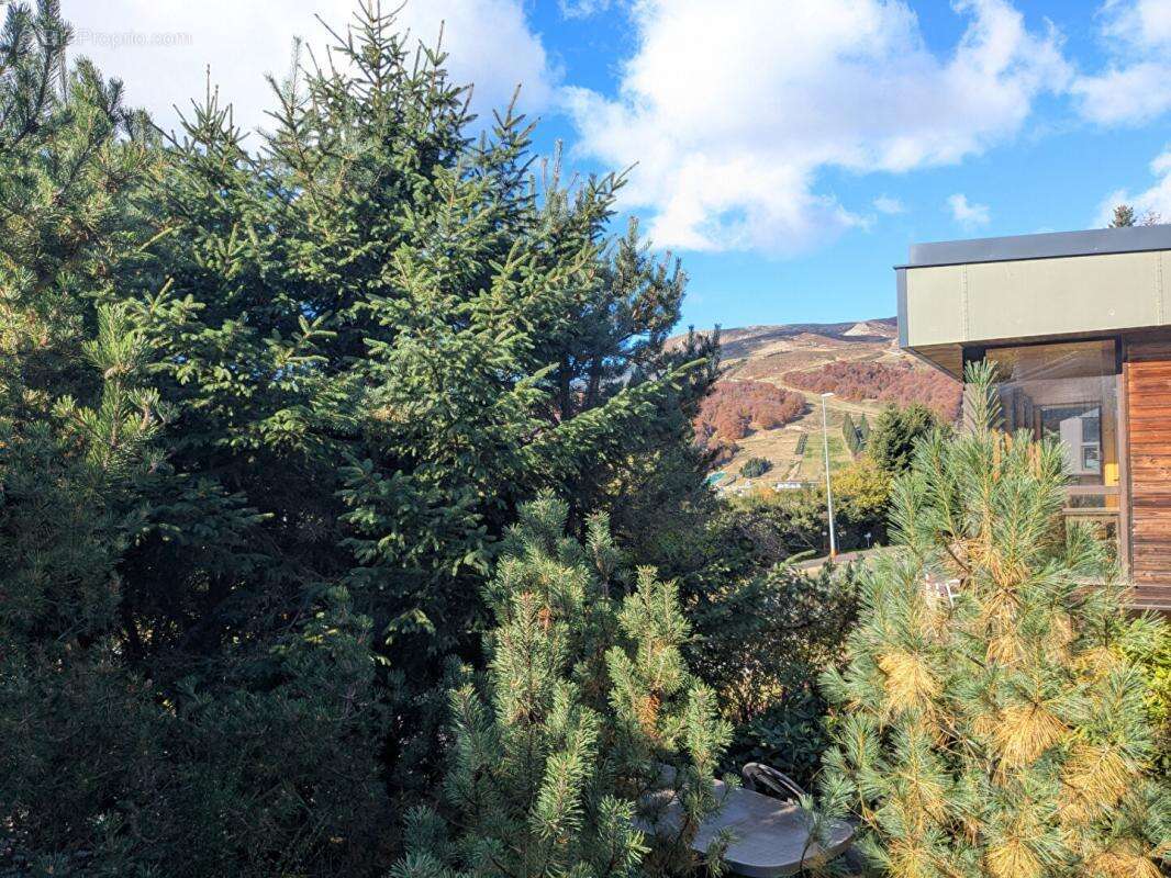 Maison à BESSE-ET-SAINT-ANASTAISE