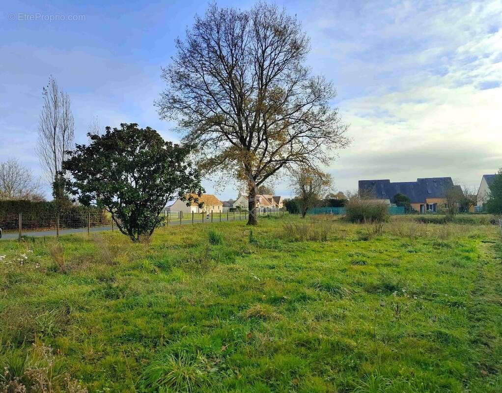 Terrain à VILLAINES-SOUS-MALICORNE