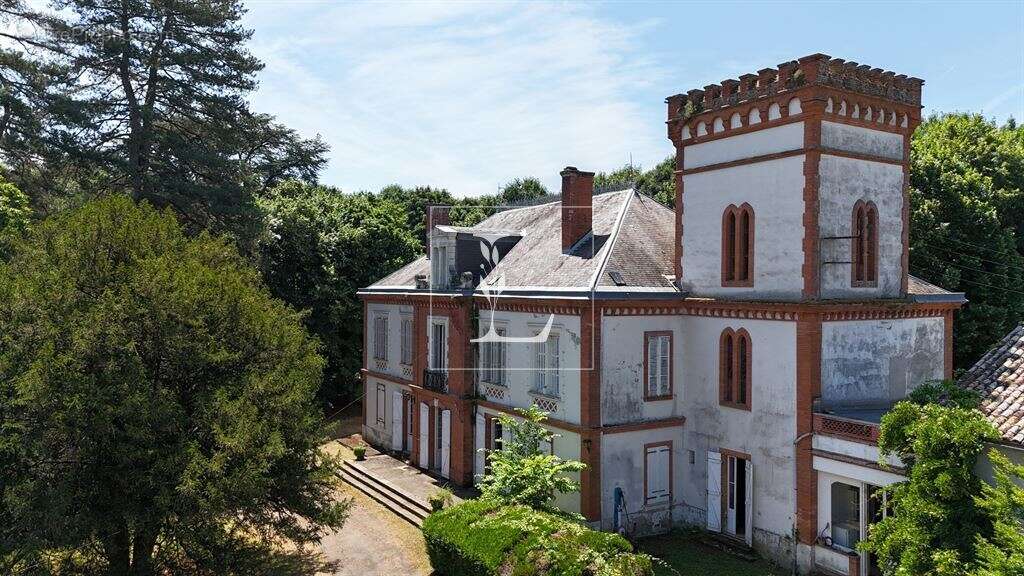 Château au calme à rénover, dépendances et orangerie - photo 4