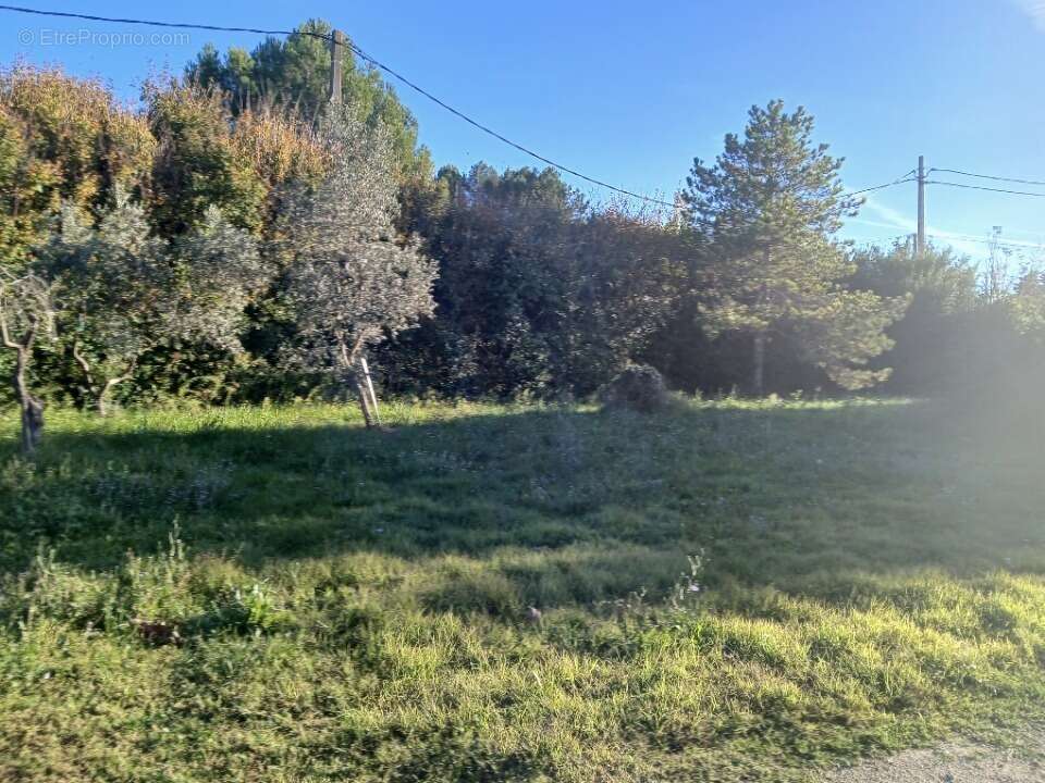 Terrain à SAINT-CHAMAS