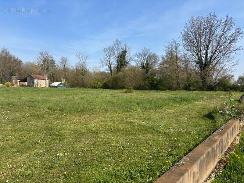 Terrain à vendre  VONGES (21) - photo 2