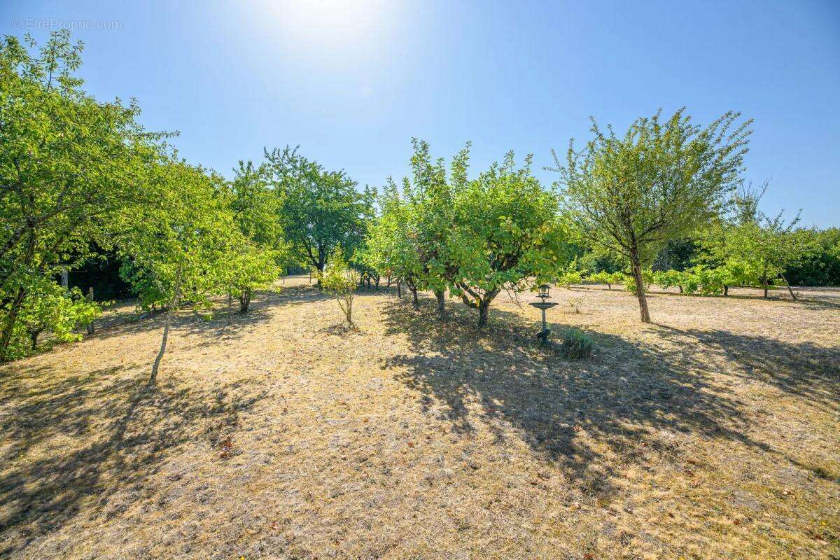 Maison de 6 pièces de 140 m² à Bléré - photo 24