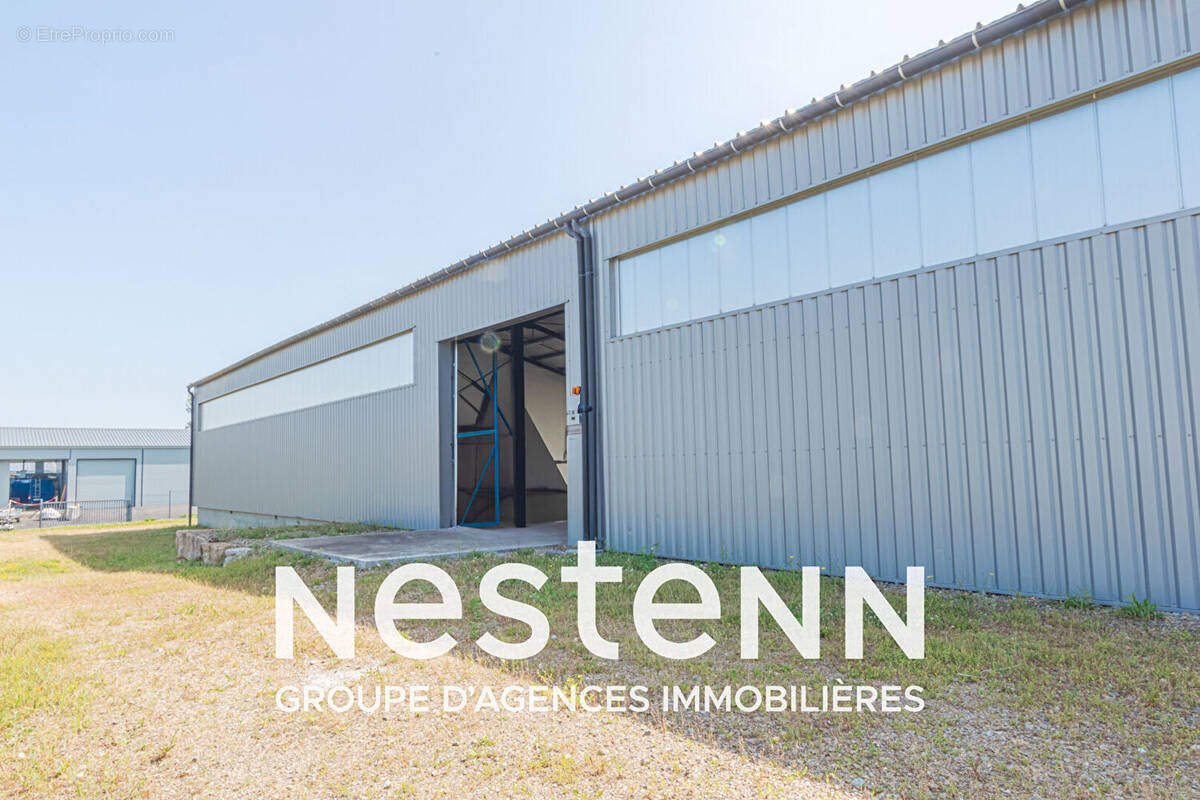 Commerce à PAMPELONNE