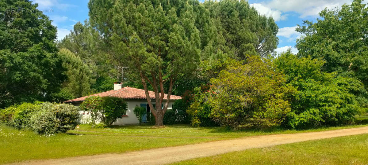 Maison de plain-pied avec jacuzzi et terrain arboré en lisière de forêt - photo 3