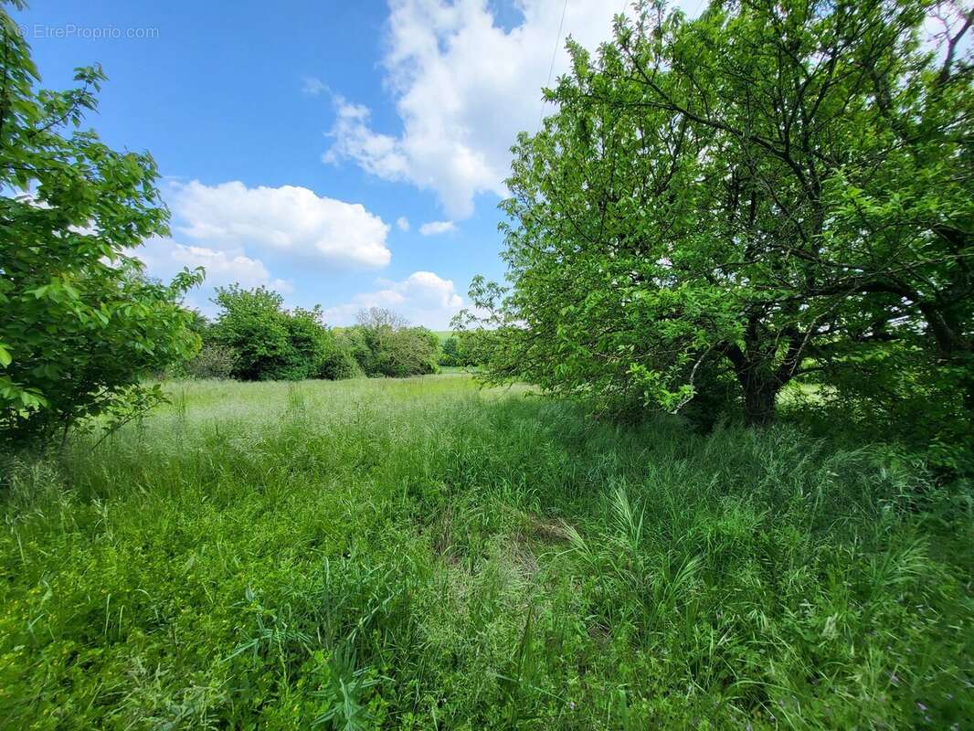 Terrain à LOZAY