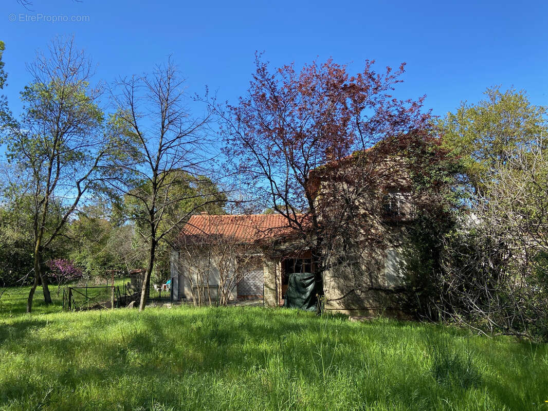 Maison à MONTPELLIER