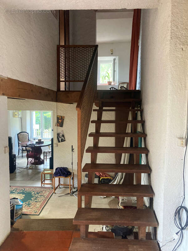 Corbières vertes, maison 4 chambres terrain 5000m2 avec source - photo 6