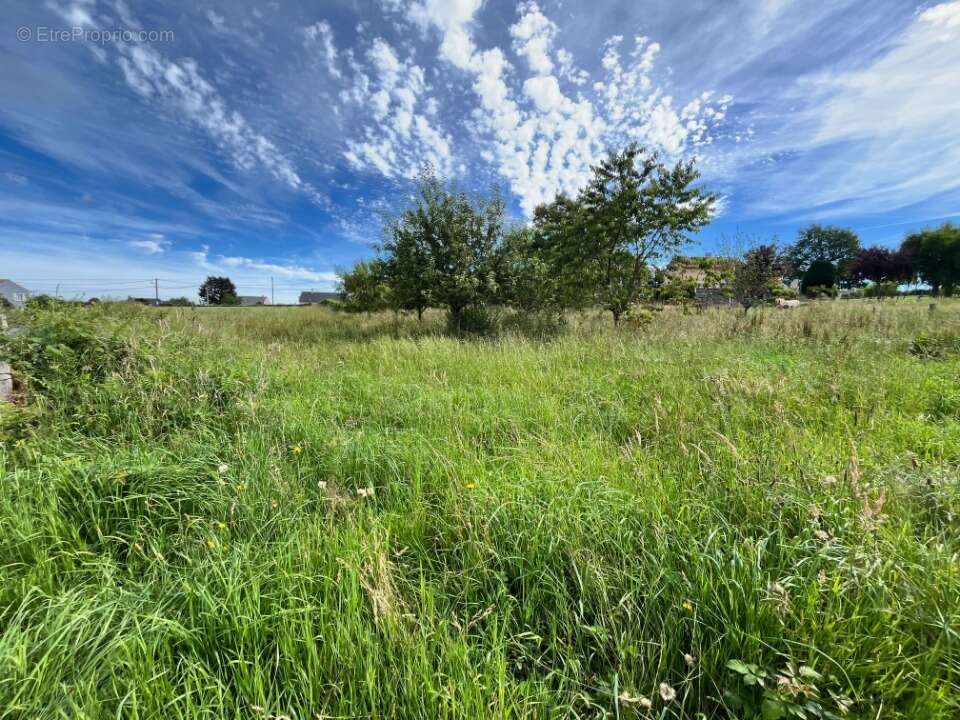 Terrain à ROANNES-SAINT-MARY