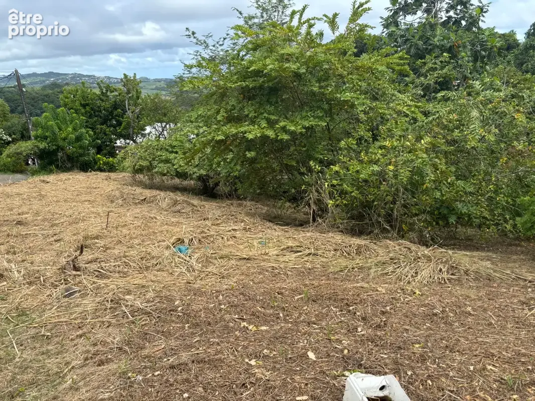 Terrain à vendre  LE ROBERT (972) de 593 m2 - photo 6