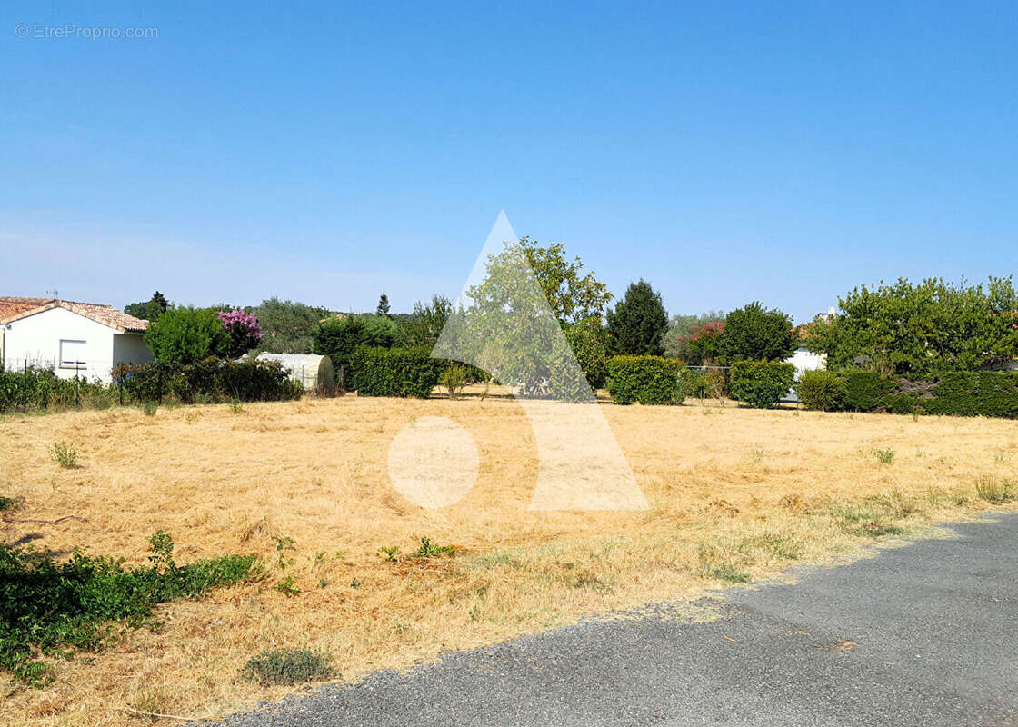 Terrain 886 m² lescure d'albigeois - photo 5