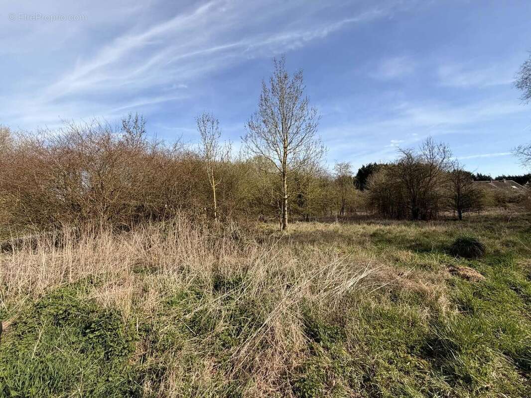 Il est plat et libre de constructeur - Terrain à BRUYERES-ET-MONTBERAULT