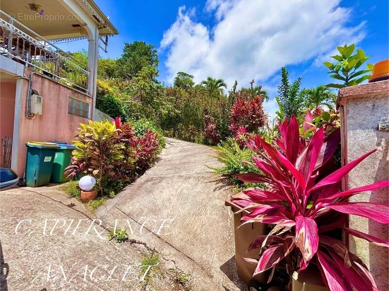 Maison à RIVIERE-PILOTE