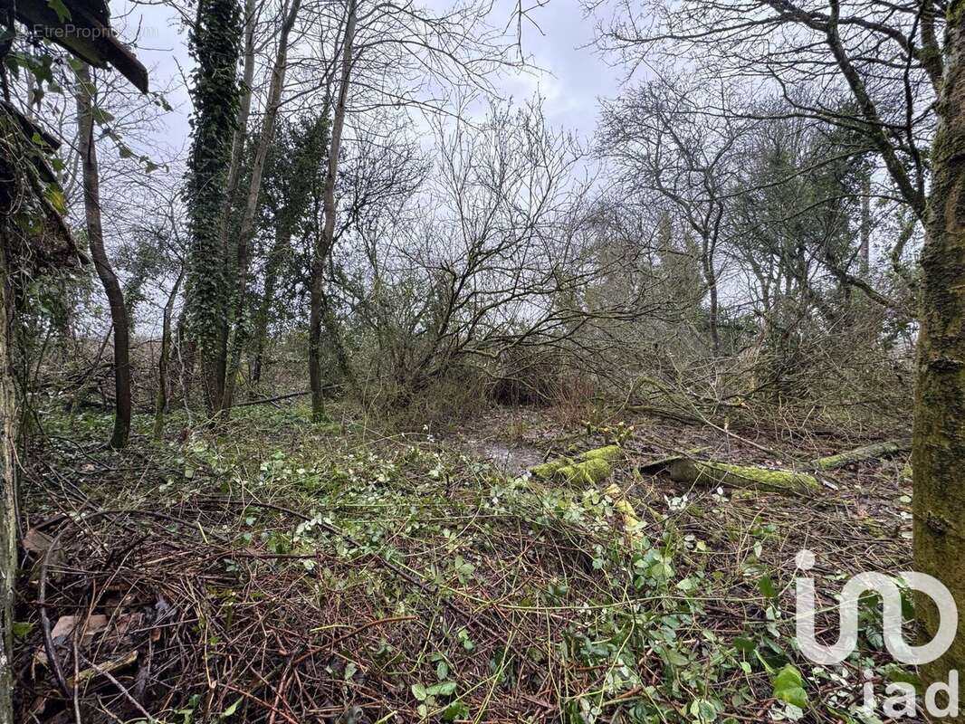 Photo 7 - Maison à LE GAULT-PERCHE