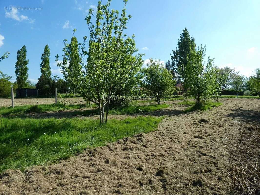 Maison à PLOUFRAGAN