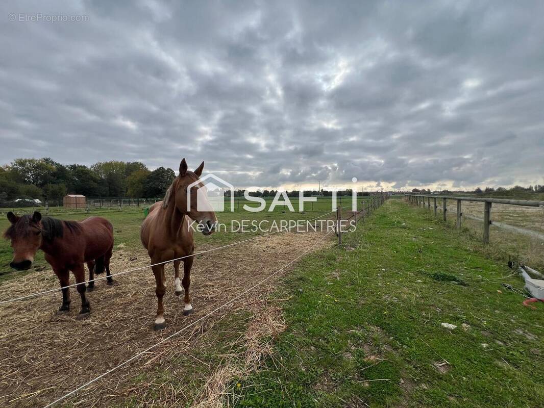 Photo 1 - Maison à HORNAING