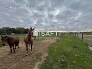 Photo 1 - Maison à HORNAING