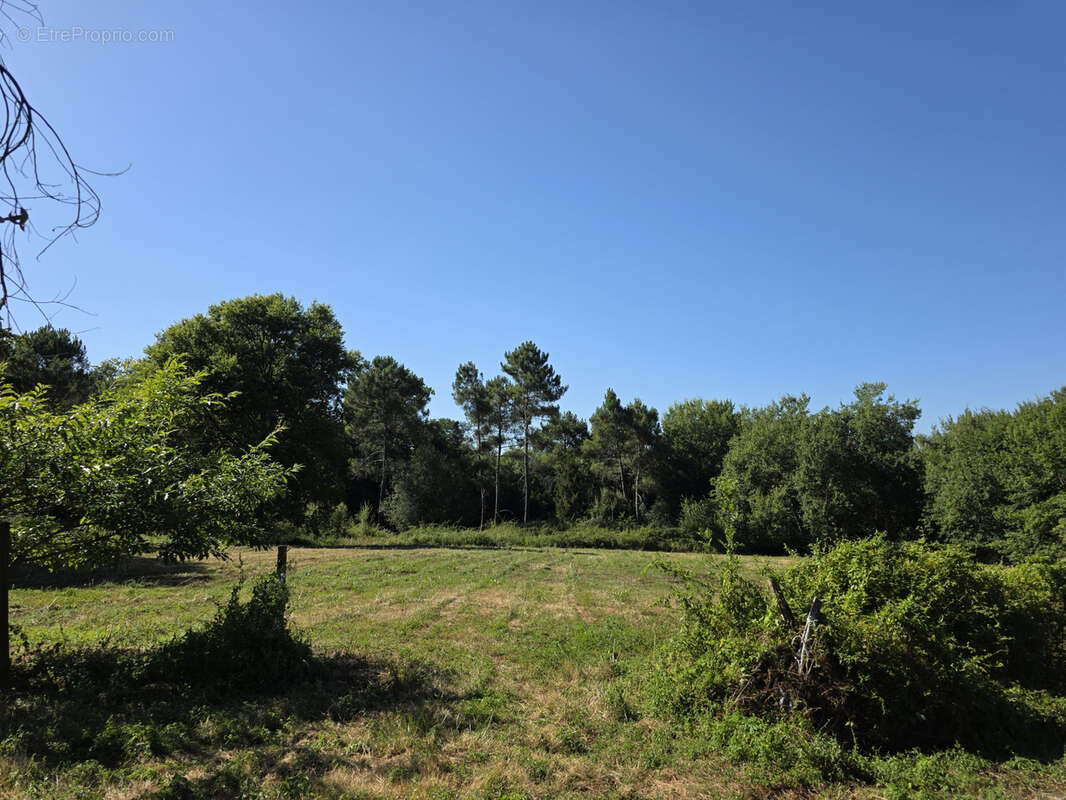 Gers—proche barbotan les thermes—maison dans son parc de 1.5ha avec garage - photo 23