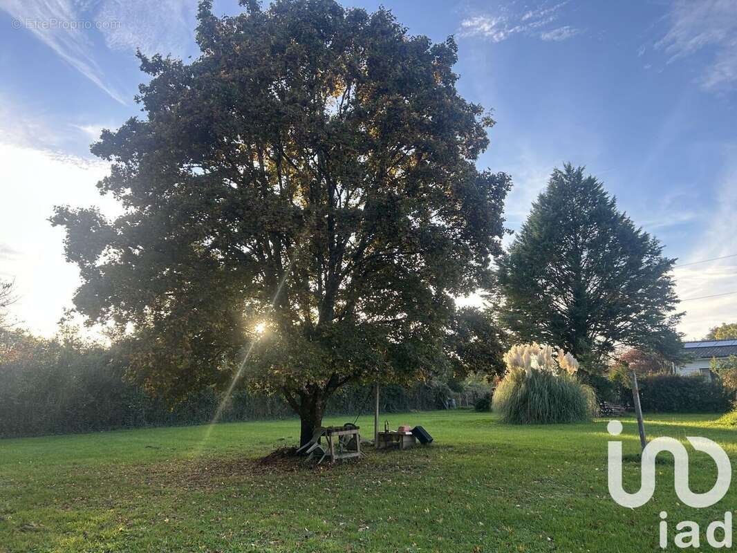 Photo 2 - Maison à ORIGNOLLES