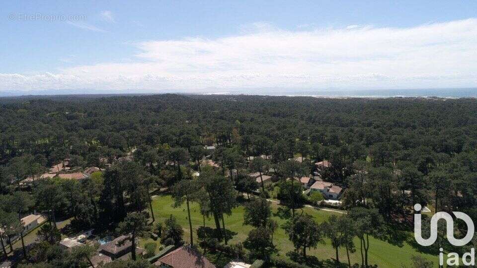 Photo 4 - Maison à SEIGNOSSE