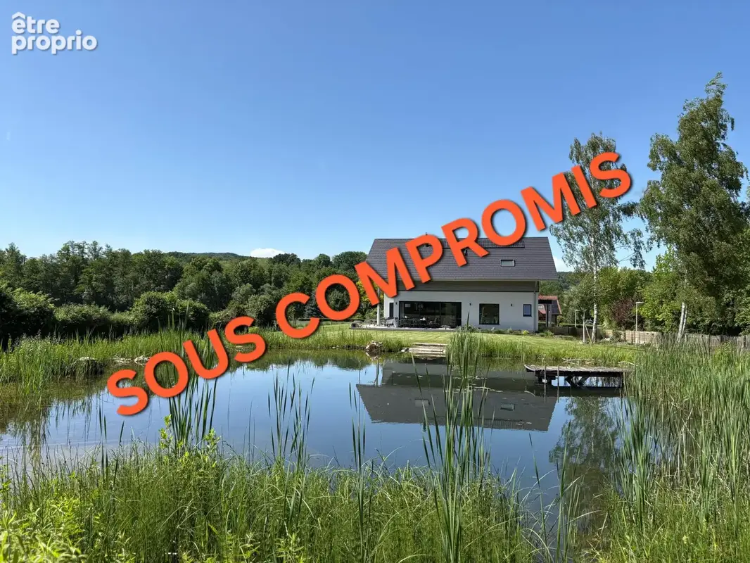 Photo Maison à Leymen au prix de 1 197 000€