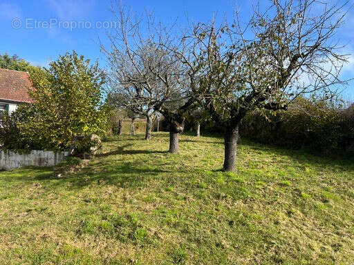 Maison à COLOMBIER-EN-BRIONNAIS