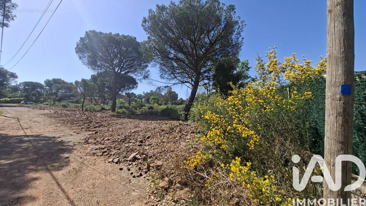 Photo 1 - Terrain à LE CANNET-DES-MAURES
