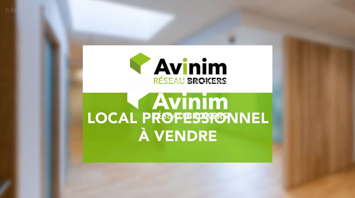 Commerce à LES ABYMES