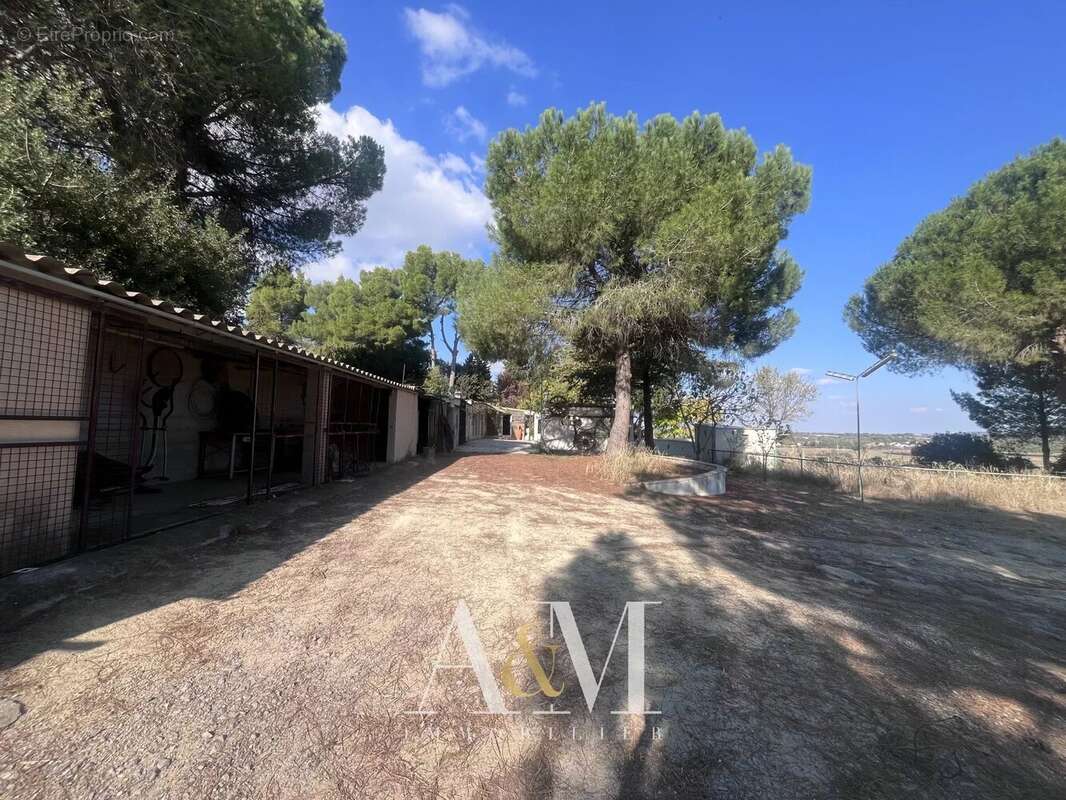 Mas 145 m² / 4262 m² - photo 18