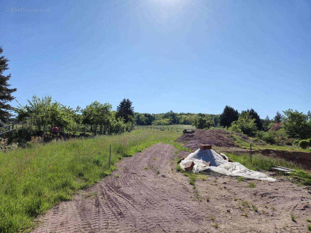Terrain à BLIENSCHWILLER