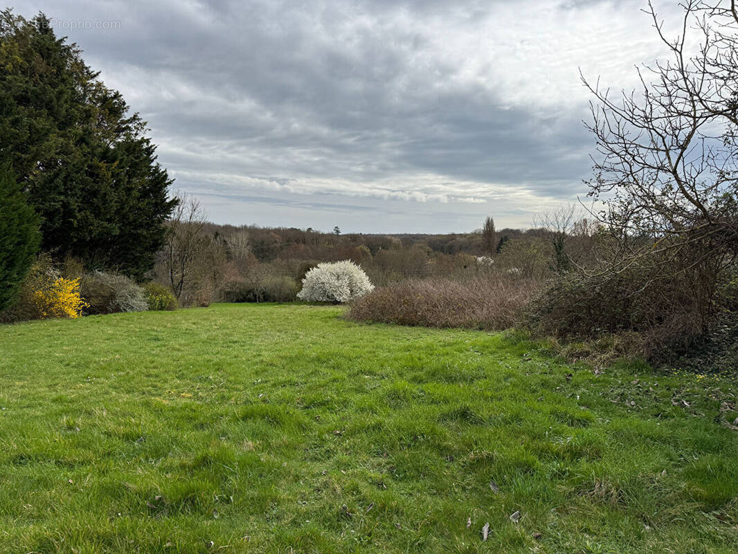 Terrain à LIGUGE