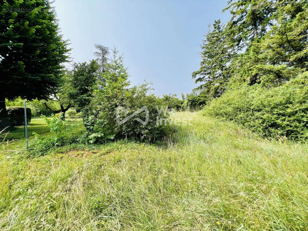 Terrain à RIOM