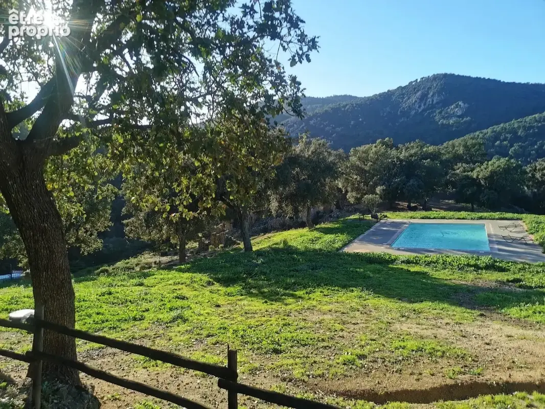 Mas provencal de caractère au coeur d'un ecrin de nature au Plan de la Tour - photo 13