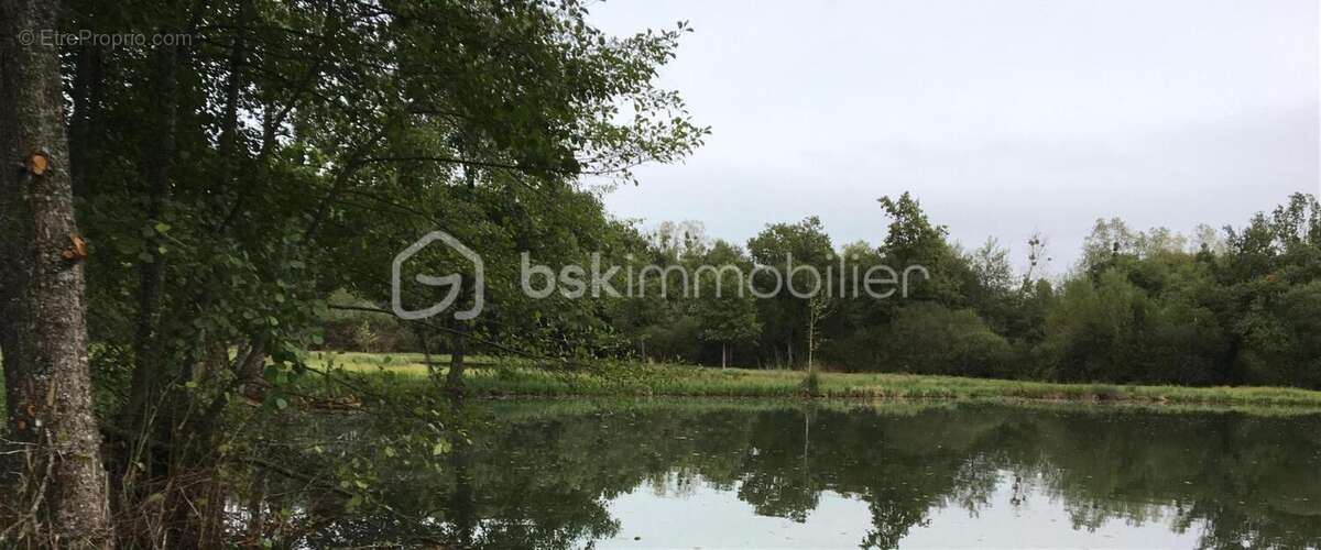 Terrain à SAINT-SAUVEUR-EN-PUISAYE