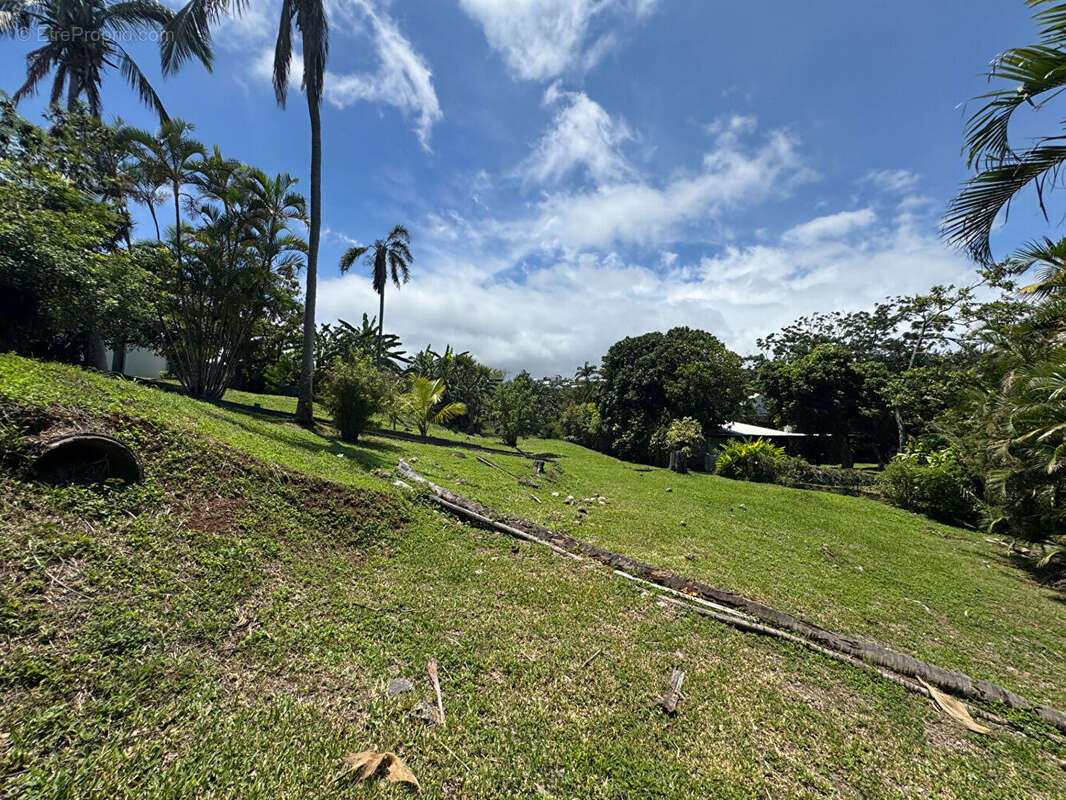 Terrain à SAINT-DENIS