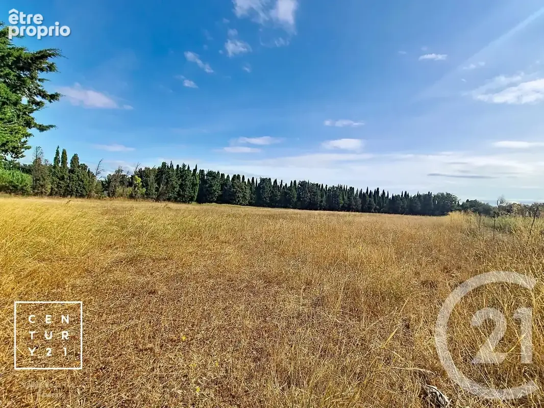 Terrain 24 425 m² à vendre à Corneilla-La-Riviere (66550) - photo 12